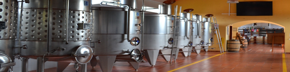 Sanitary Gaskets for Beverage Production